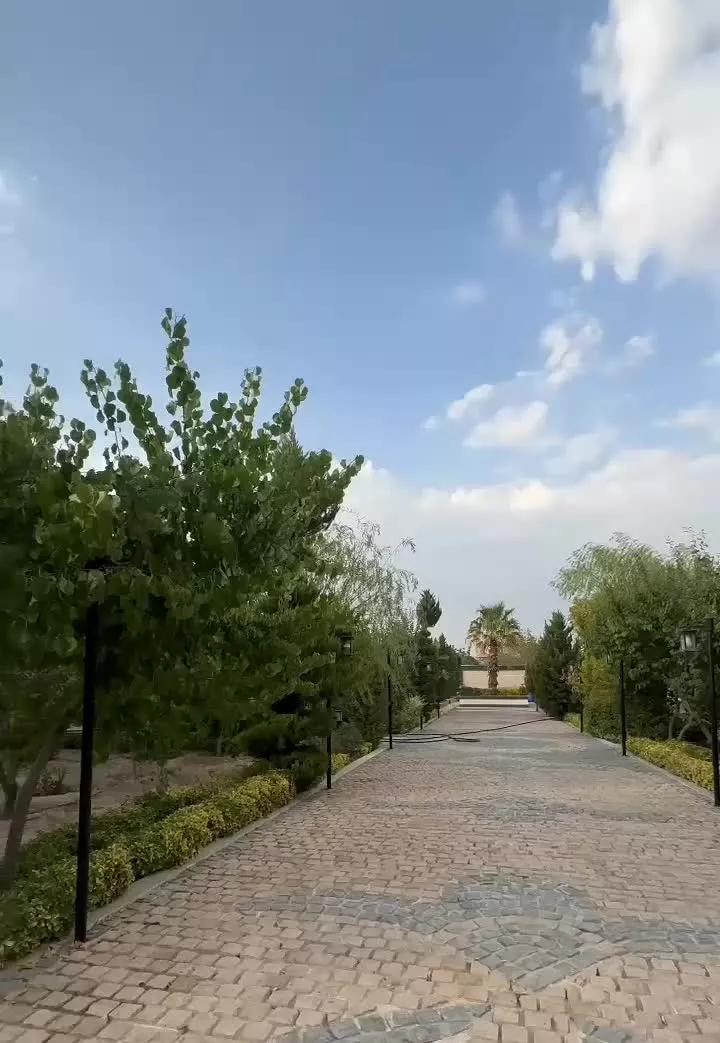 3000 متر سند تک برگ فقط 120 میلیارد