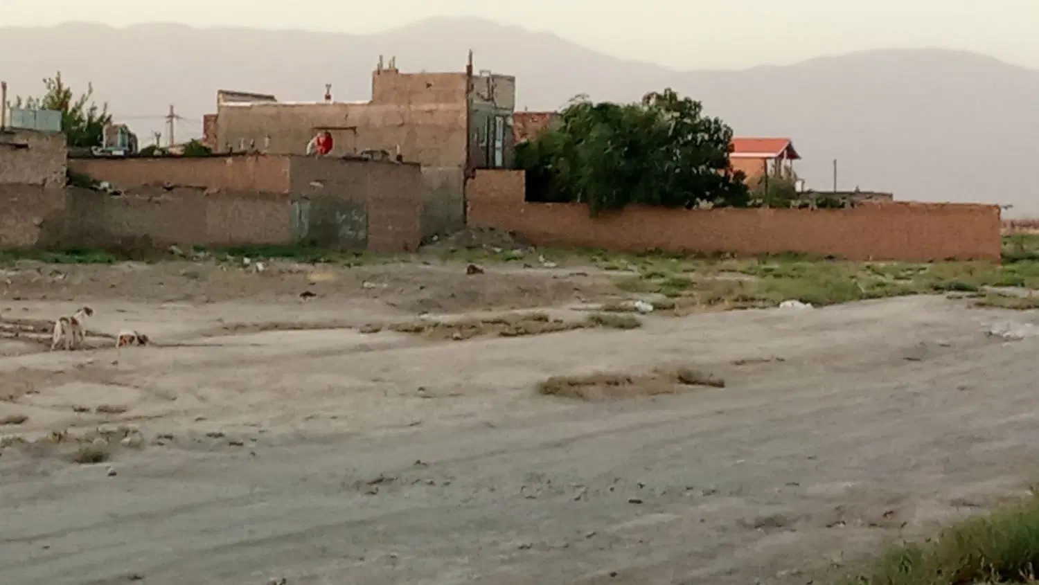 زمین قطن آباد