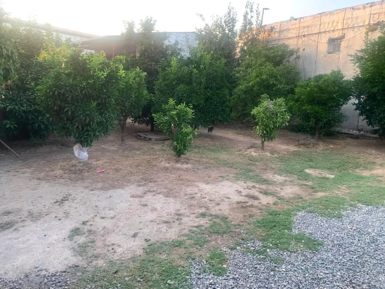 خونه ویلای با باغ مرکبات شامل پرتقال  و غیره