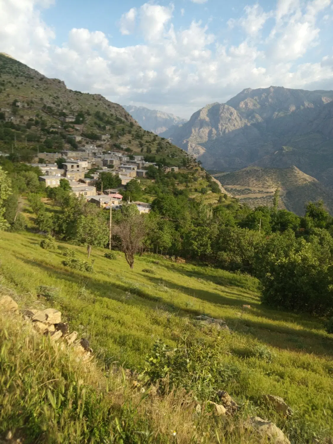 فروش فاز شش متاهلی