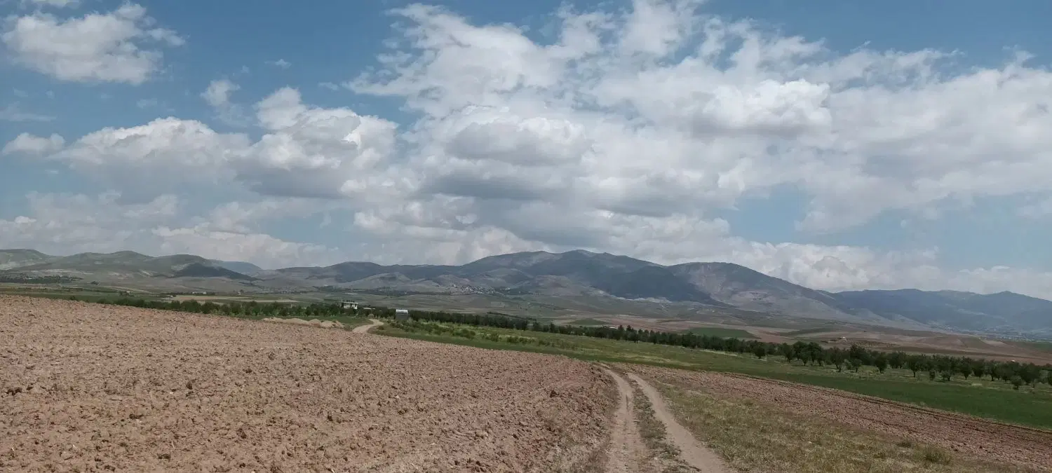زمین عبدل اباد سمت شورکت ناوه