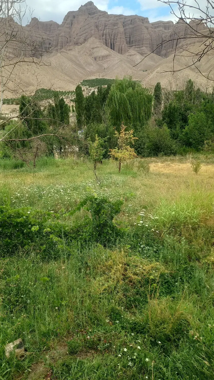 فروش  فوری خانه باغی