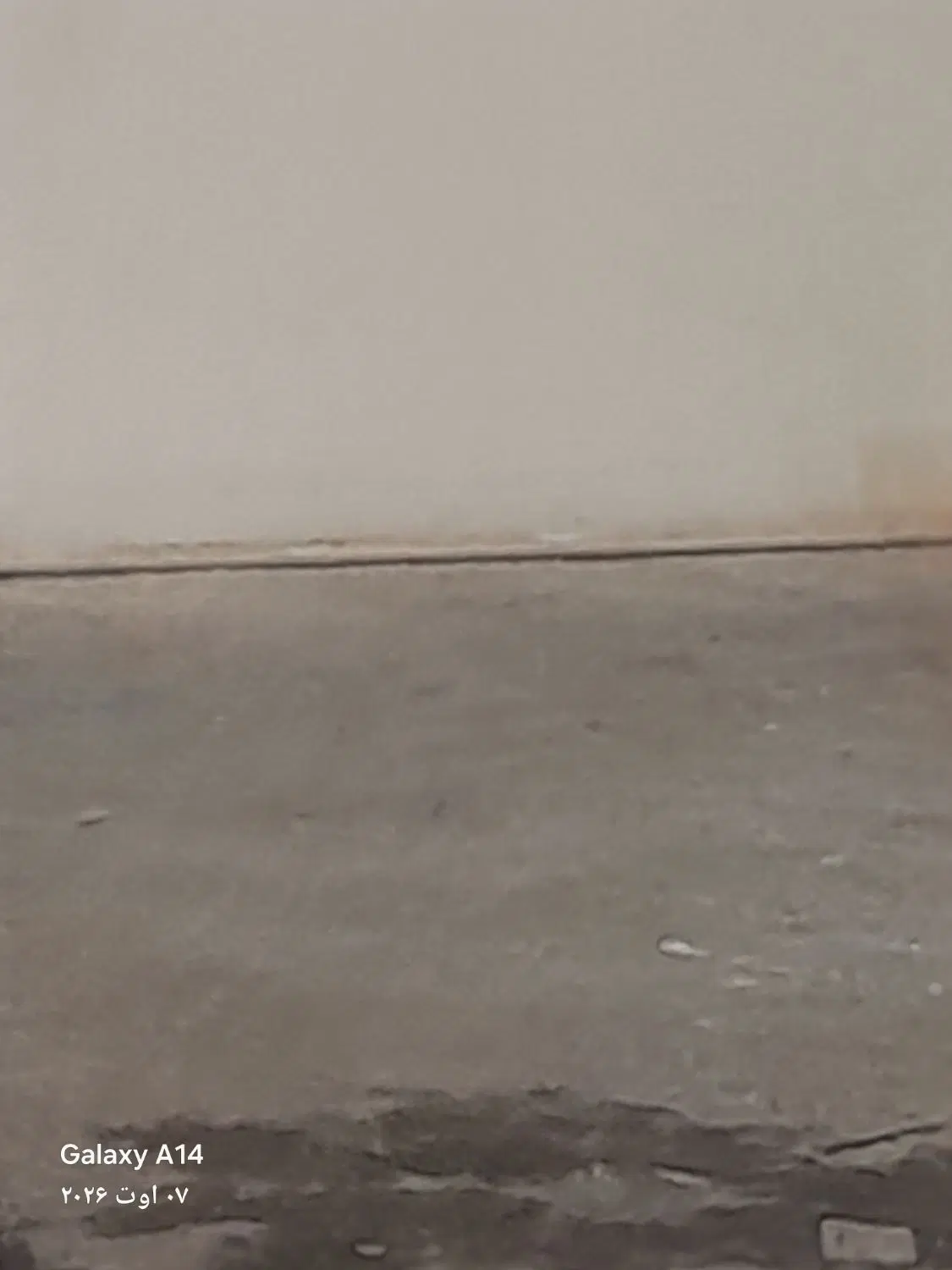 زمین نهضت ملی