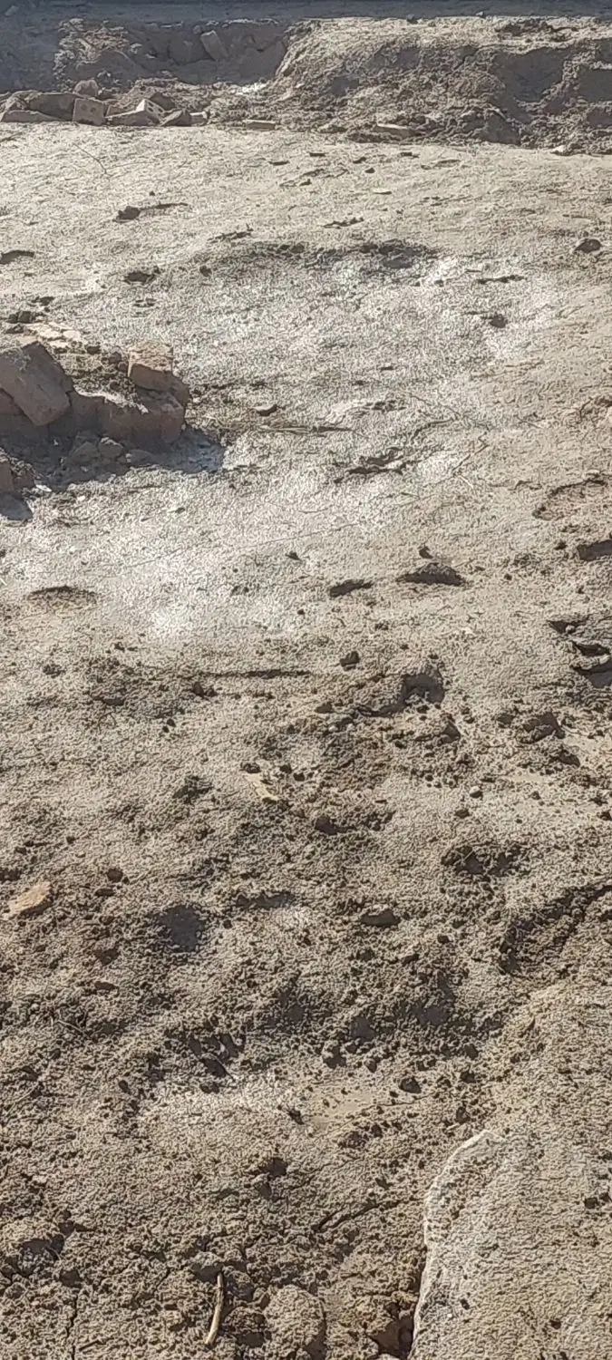زمین میسرجنوبی