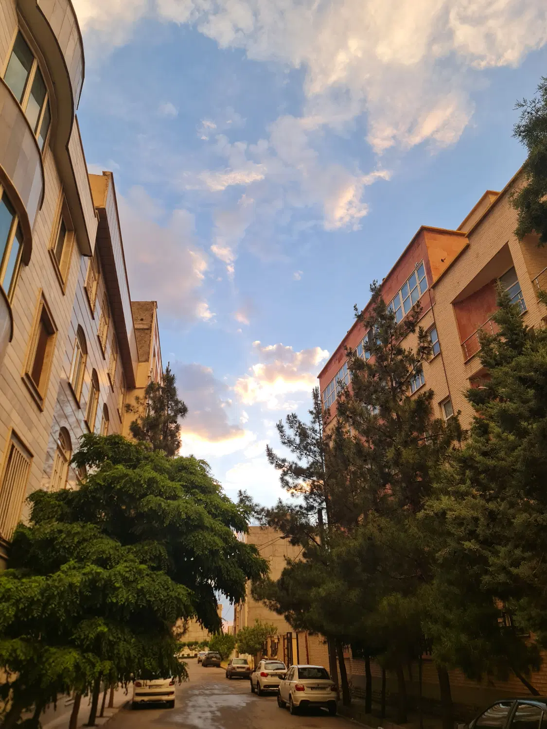 شهرک ولایت، ۲۲۰ و ۱۷۲ متری