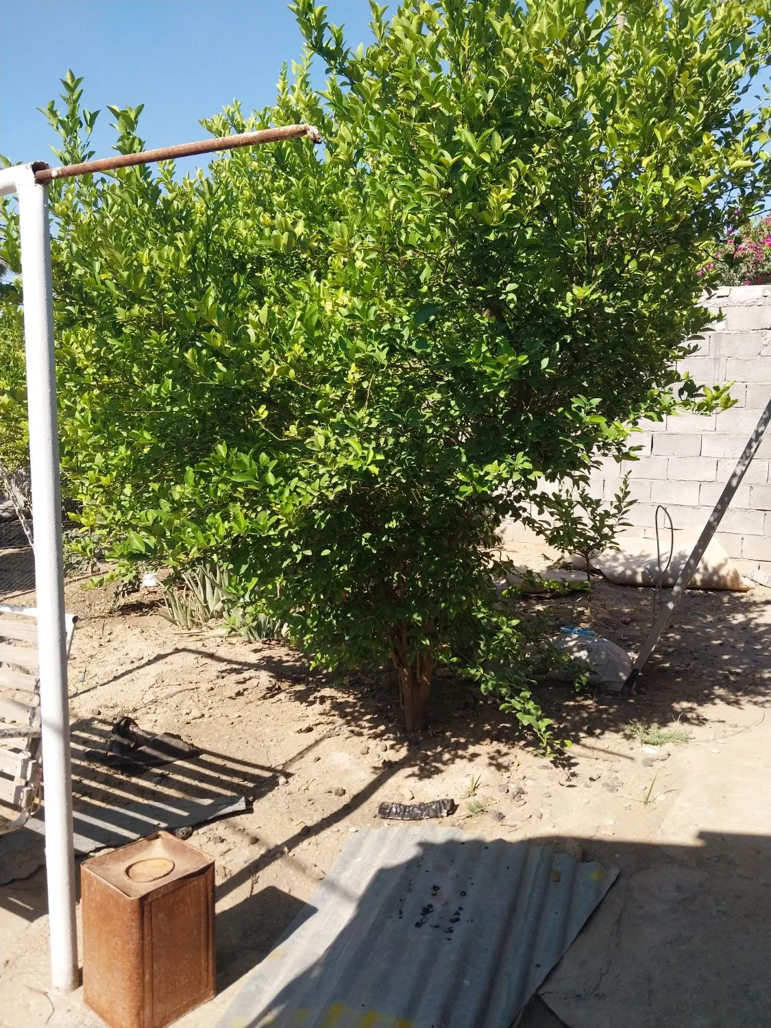 اجاره منزل شهر میانرود