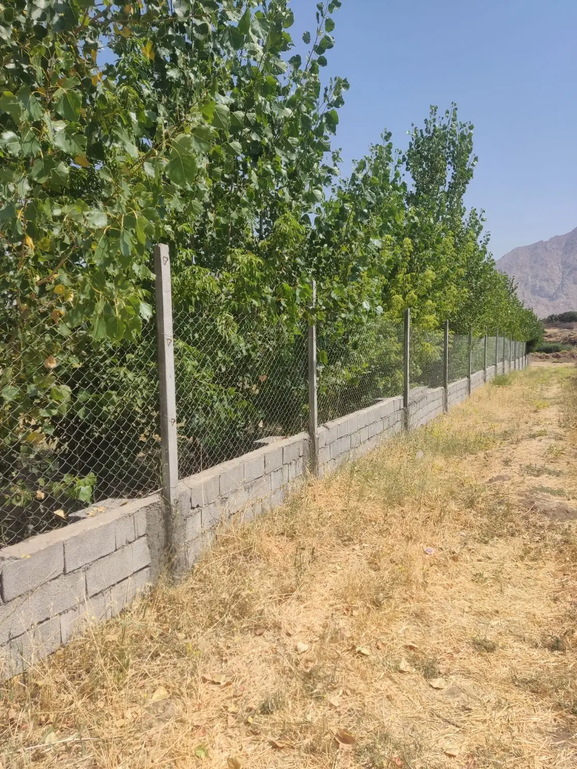 باغ_دیوارکشی_کهریز الهیه_سندتک برگ باغی