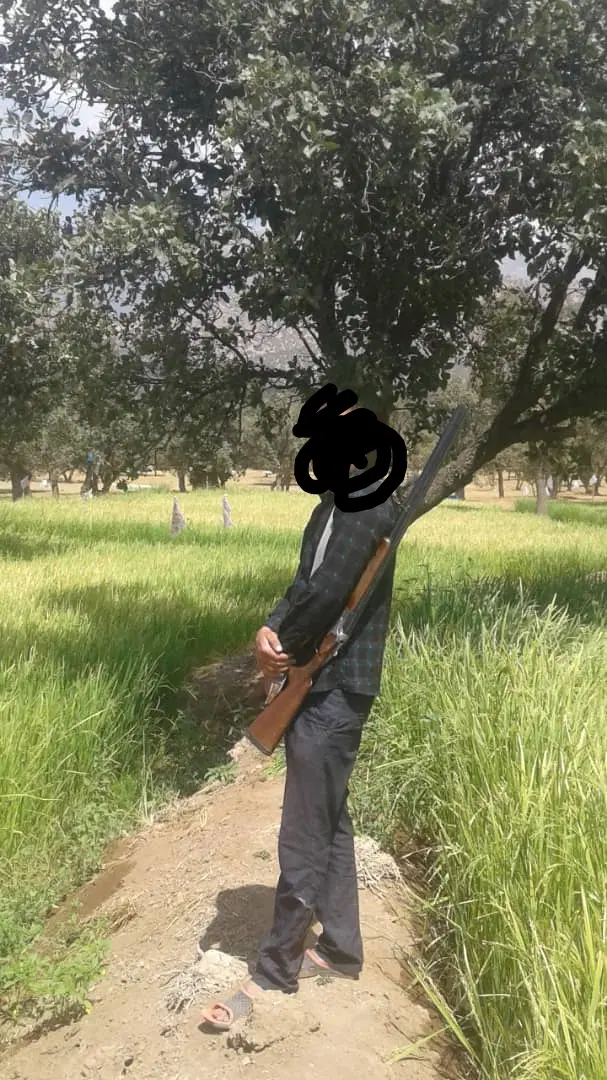 زمین برنج کاری