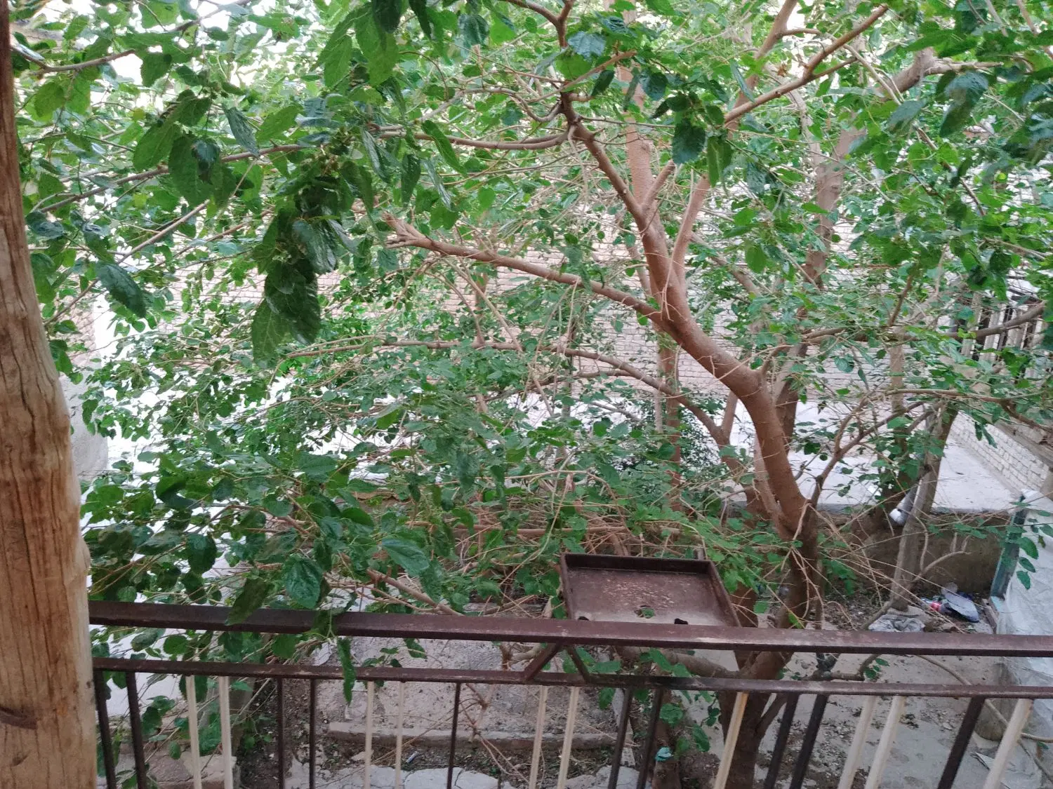 خانه قدیمی در مرکز شهر لالجین