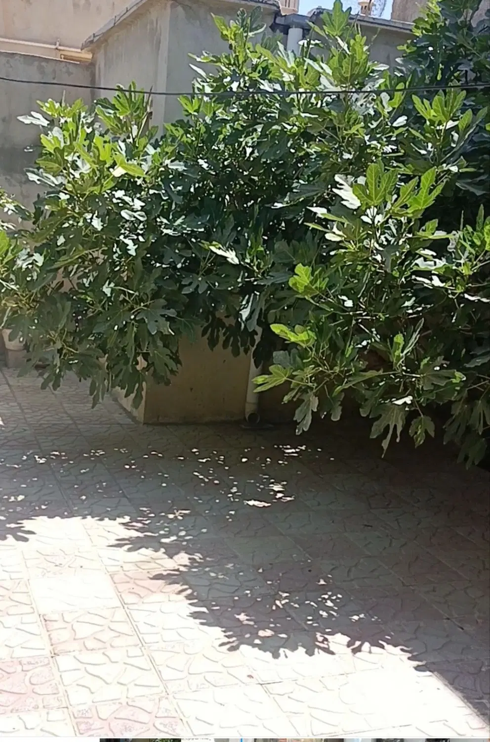 ملک ویلایی بازسازی شده