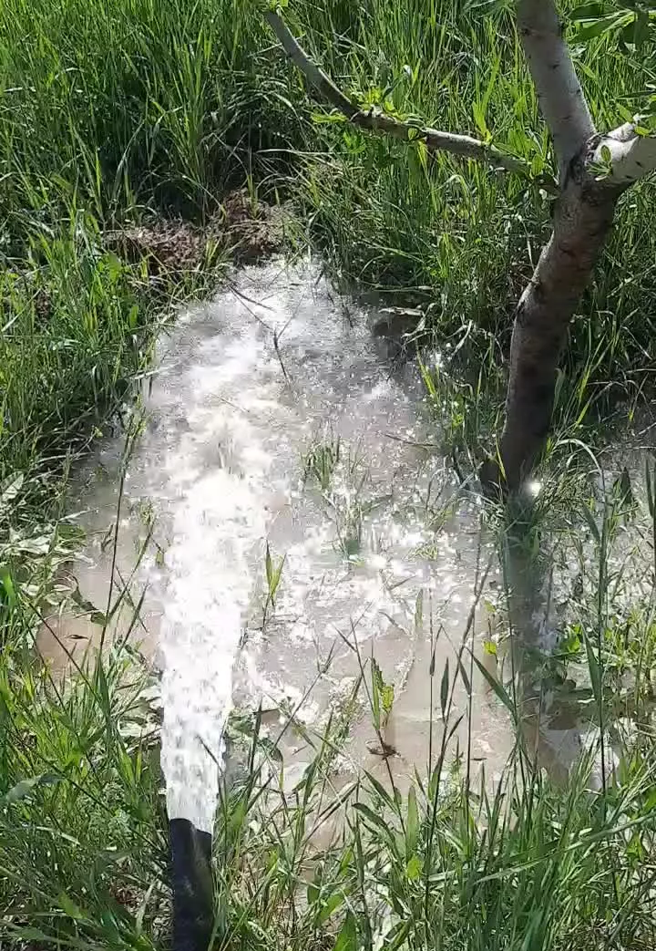 باغ در ورزقان