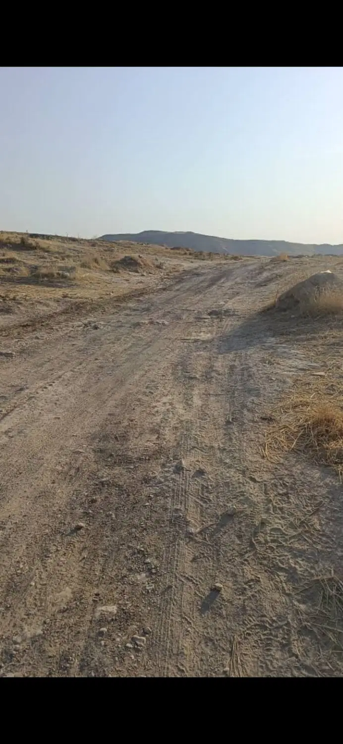 زمین زراعتی