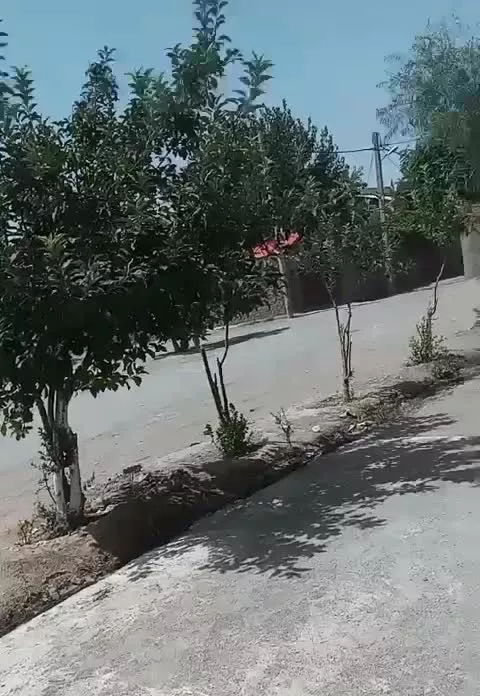 خانه فروشی یا معاوضه
