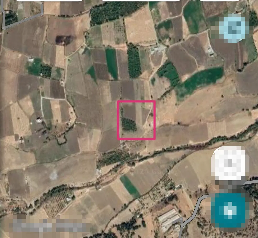 زمین کشاورزی
