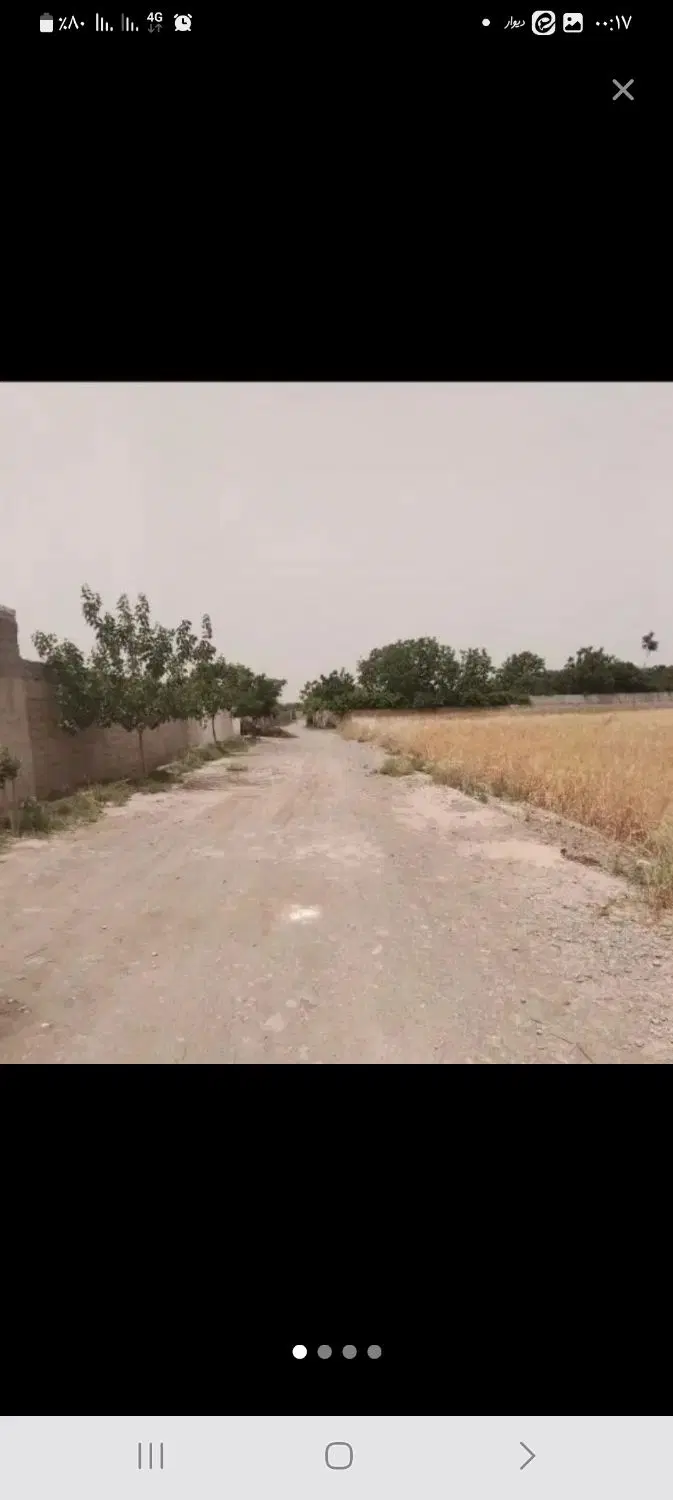 زمین امیرآباد شیبانی