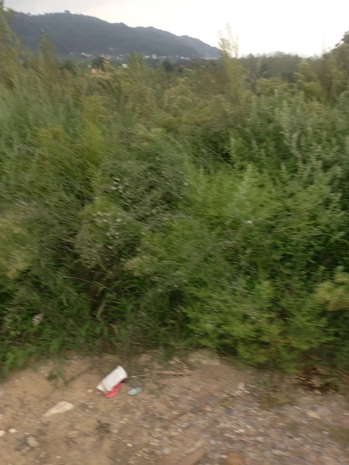 فروش و معاوضه زمین مسکونی