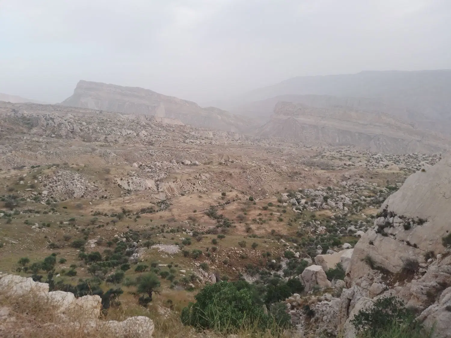 فروش زمین مسکونی