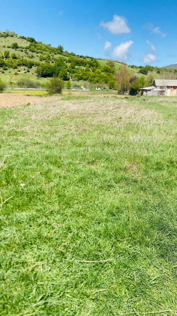 زمین در  کیاسر روستای لالا