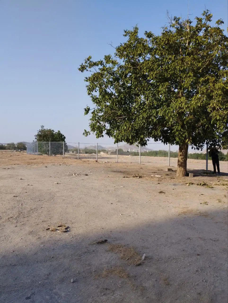زمین مسکونی در شهر آستانه
