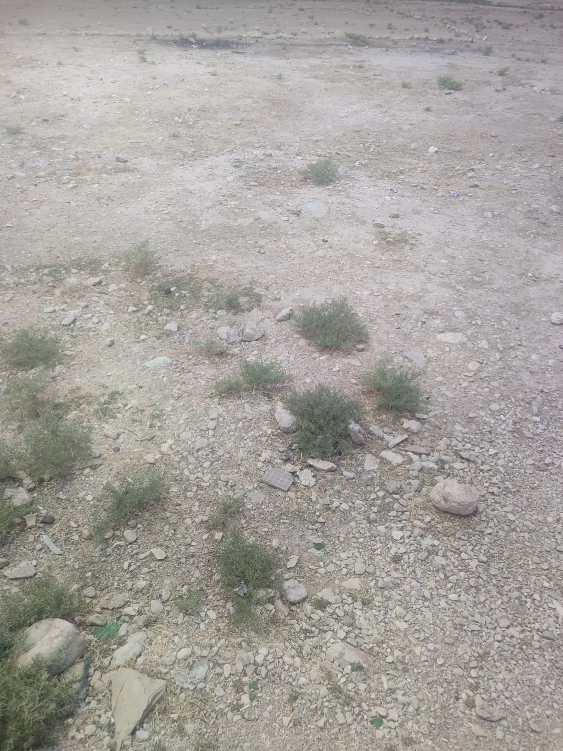 زمین مسکونی