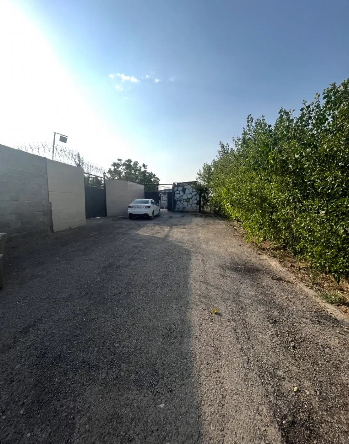 باغ و باغچه