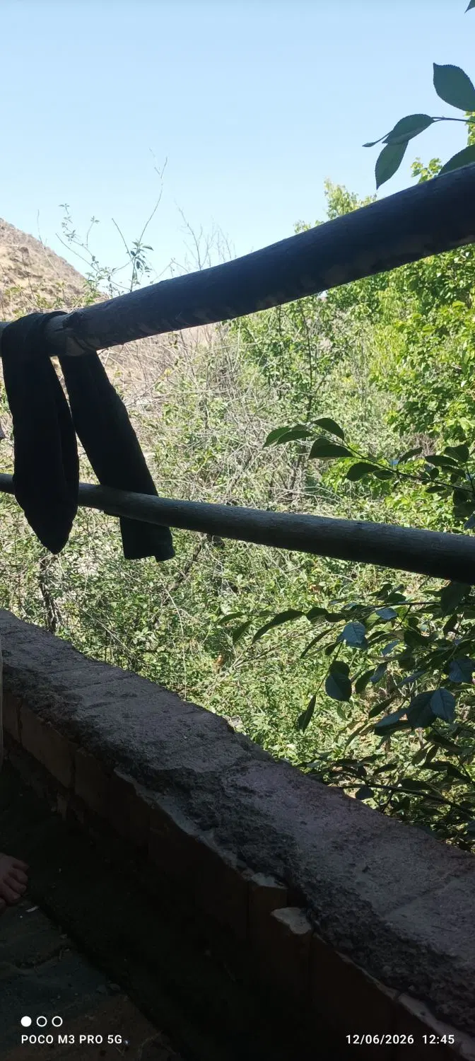 باغ محله زشک رایگان