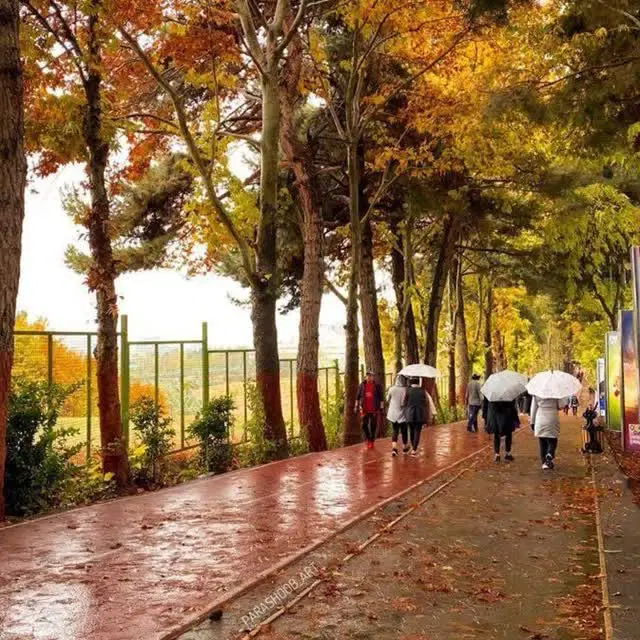سه دونگ زمین کوی نماز فاز هشت