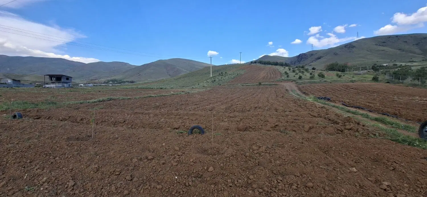 زمین کشاورزی