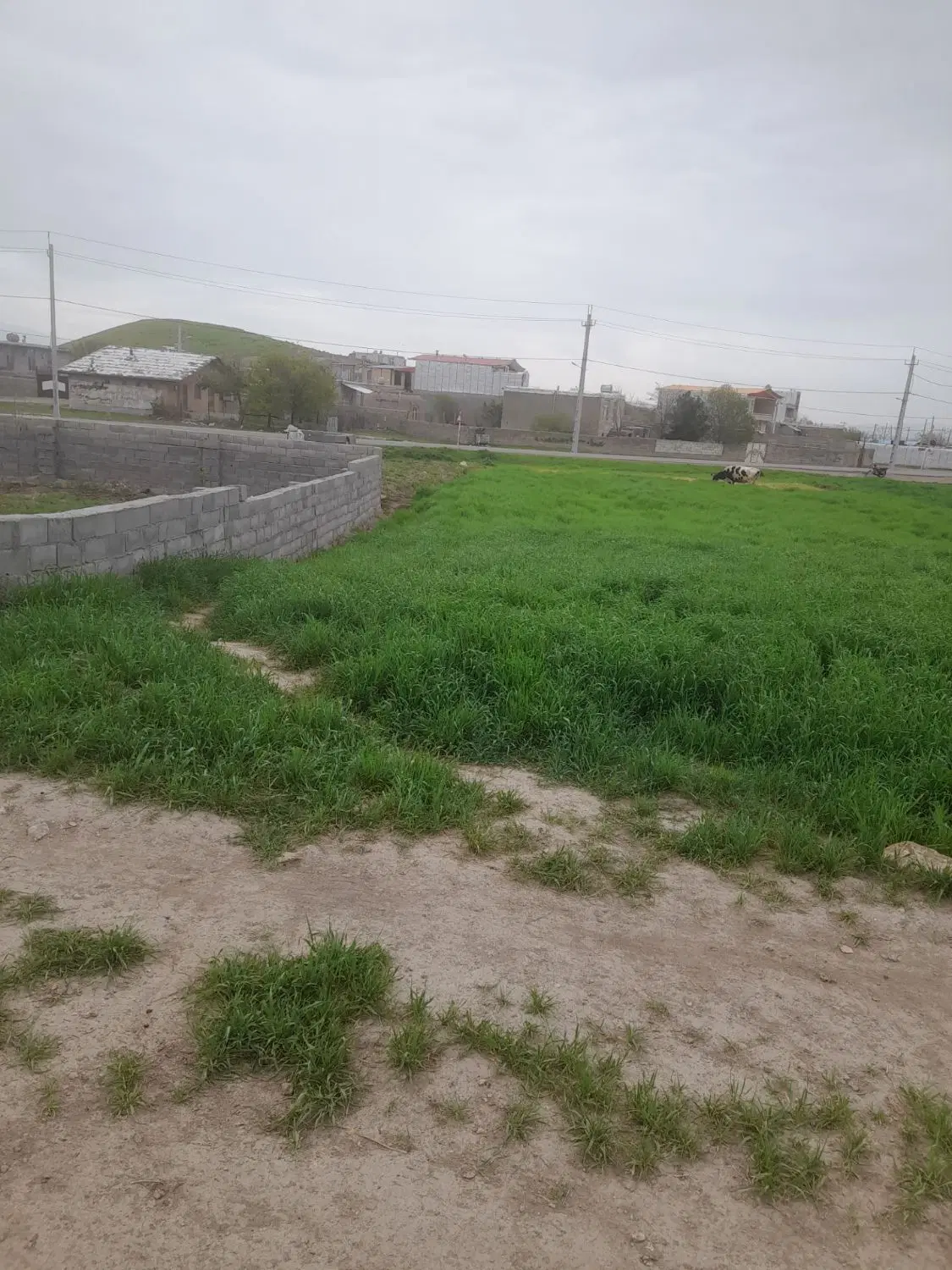 زمین مسکونی کوزران روستای چقاگنوج