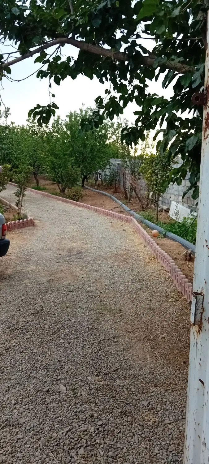 باغ بر جاده وادان ، گیلاوند موقعیت تجاری