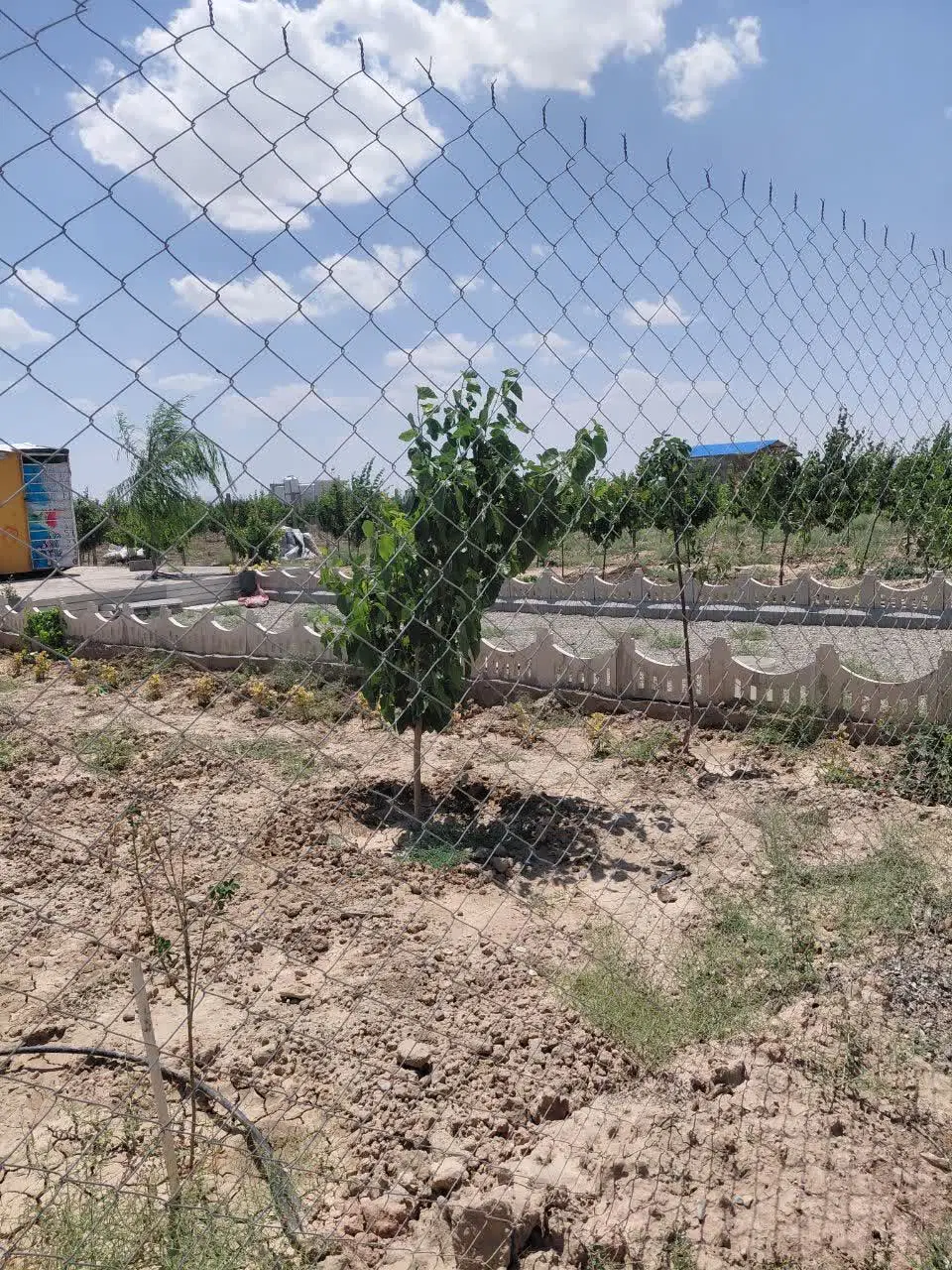 فروش باغچه در شیخ حسن نظرآباد