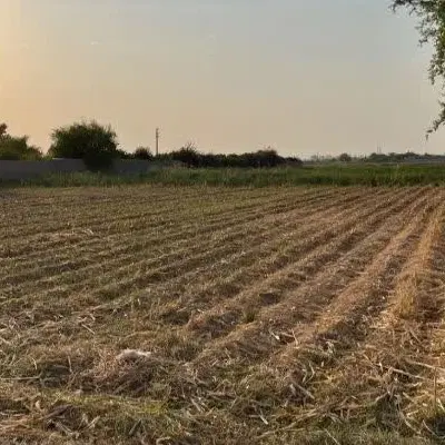زمین کشاورزی سر مسیر جاده خوشبختی