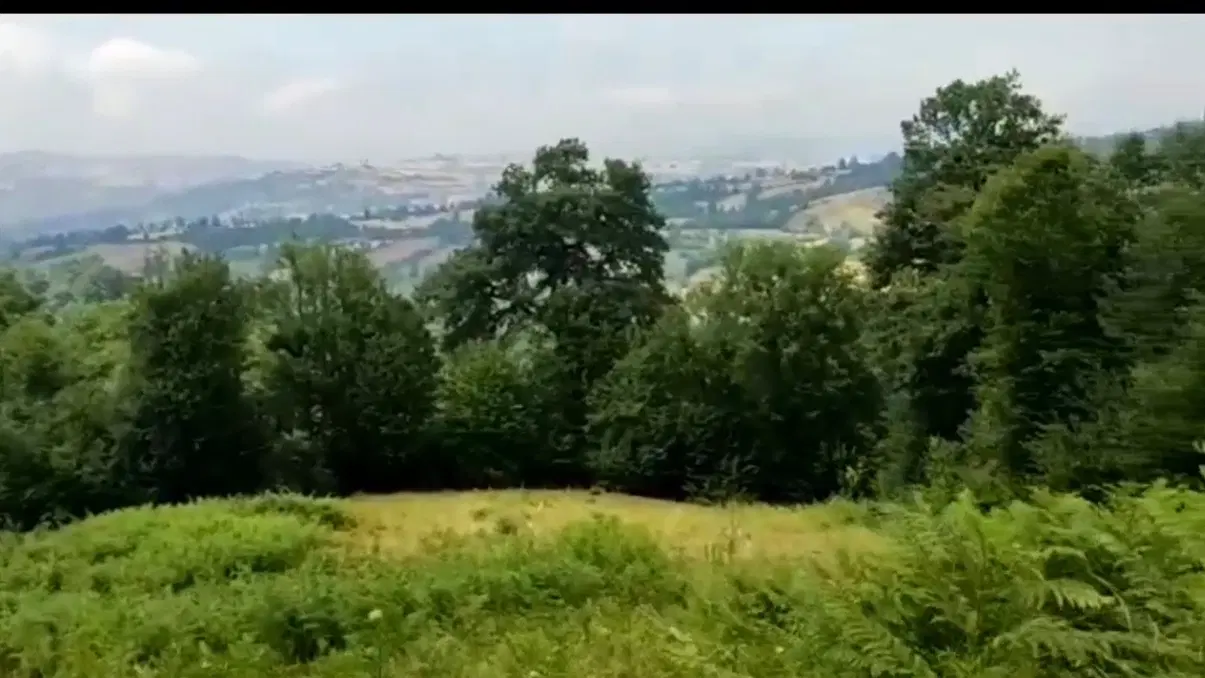 2600متر زمین شمال