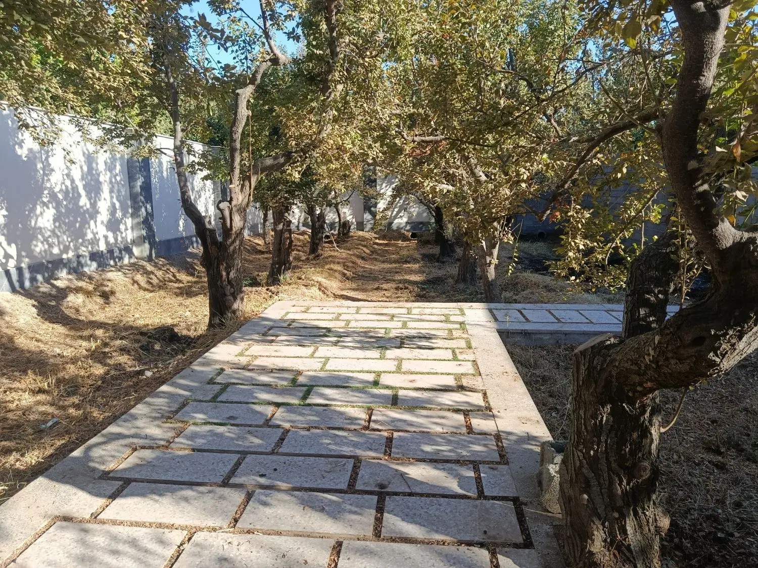 باغ 500متری
