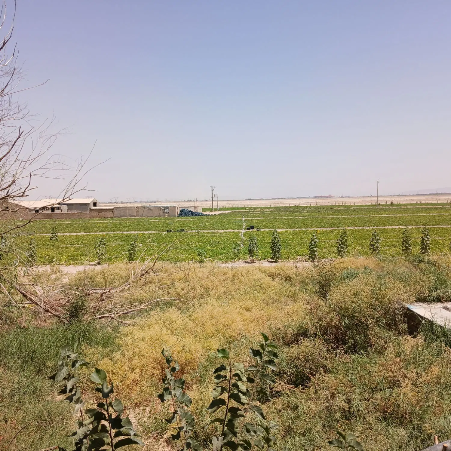یک هکتار زمین بهر جاده ترمز