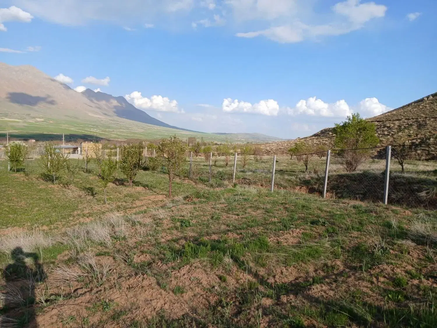 زمین مسکونی