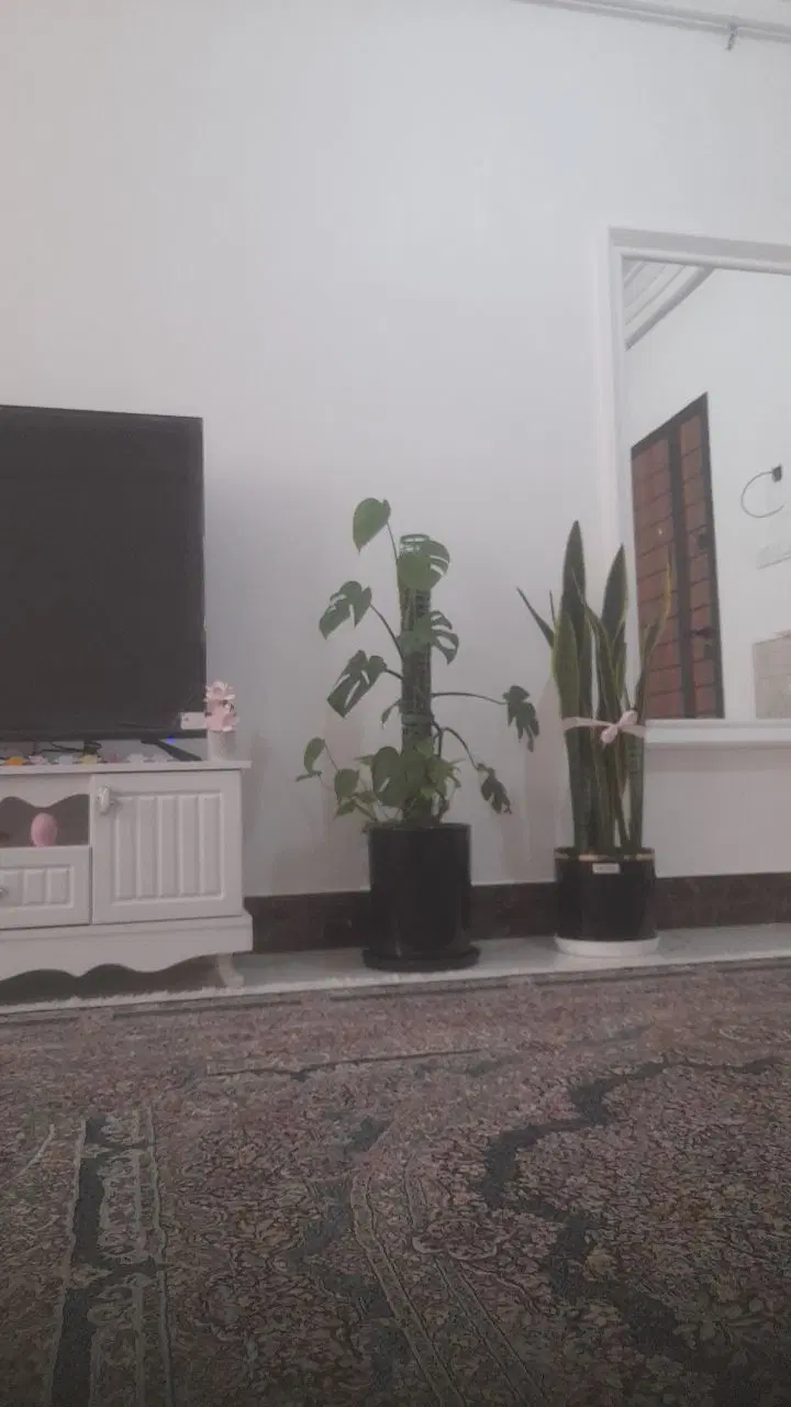 واحد ۱۰۰ متری رهن و اجاره