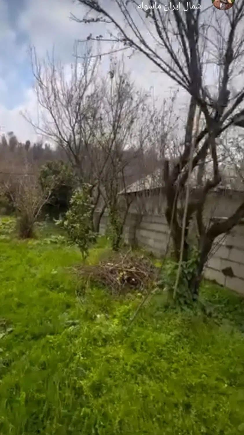 زمین مسکونی سند تک برگ
