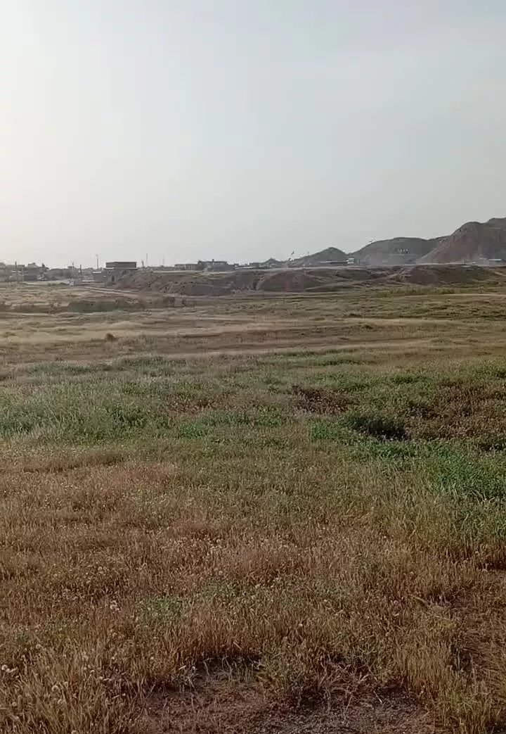 زمین