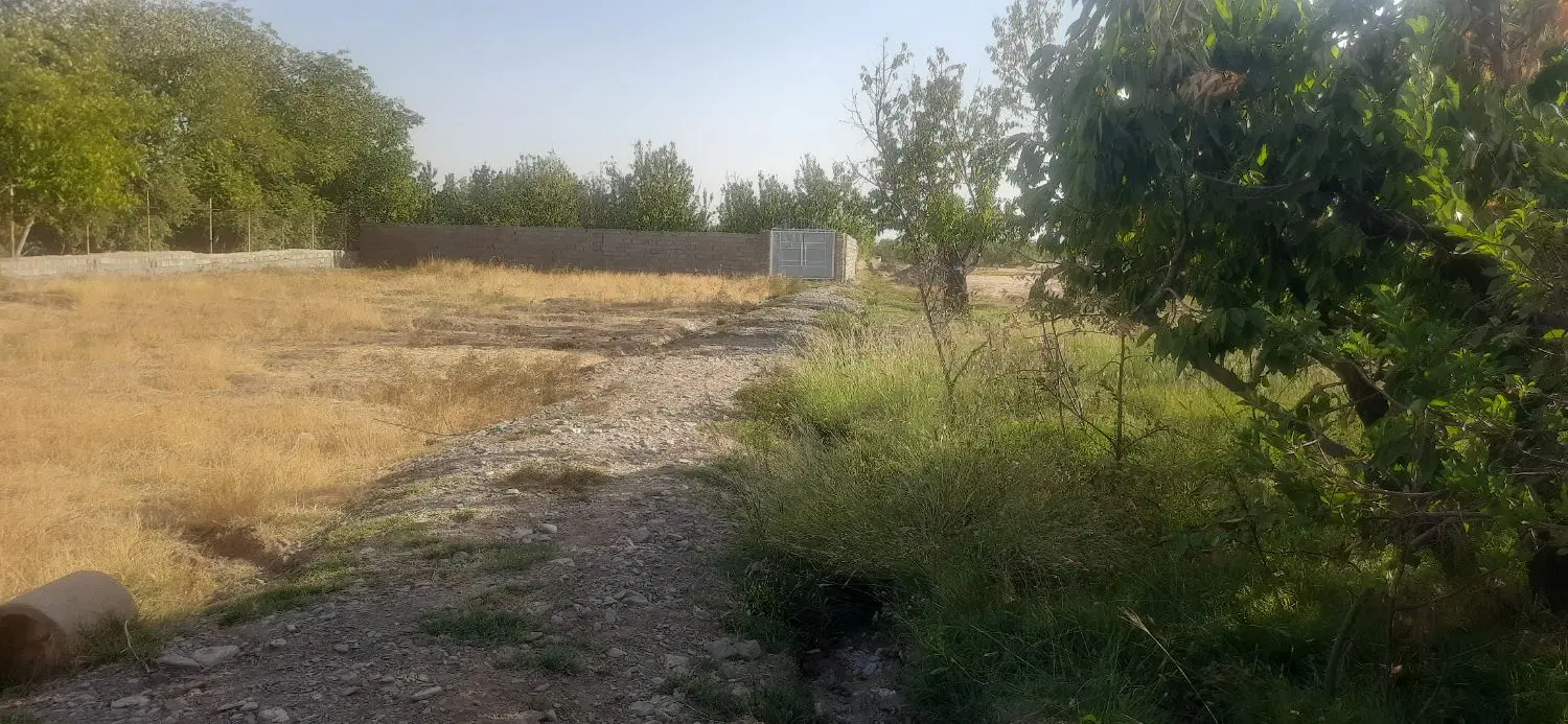 زمین  در صومعه