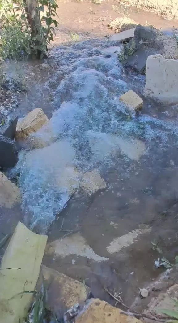 زمین باغی کبوترآباد