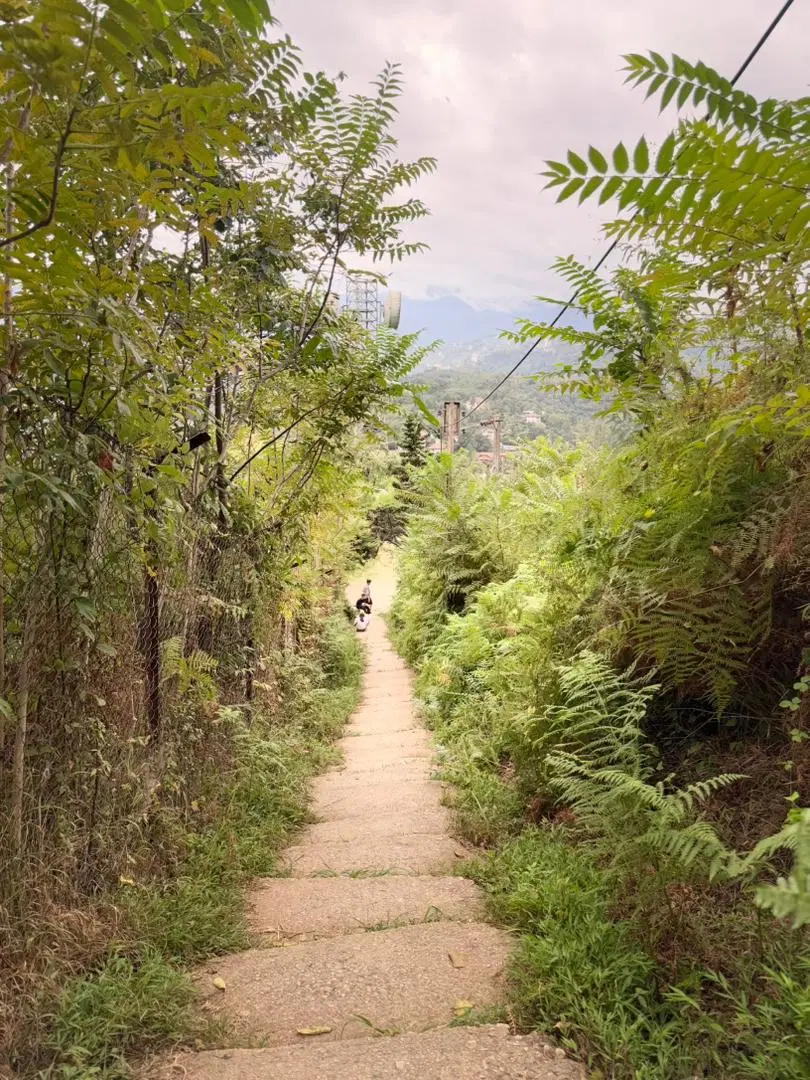 زمین.باغی رمکان