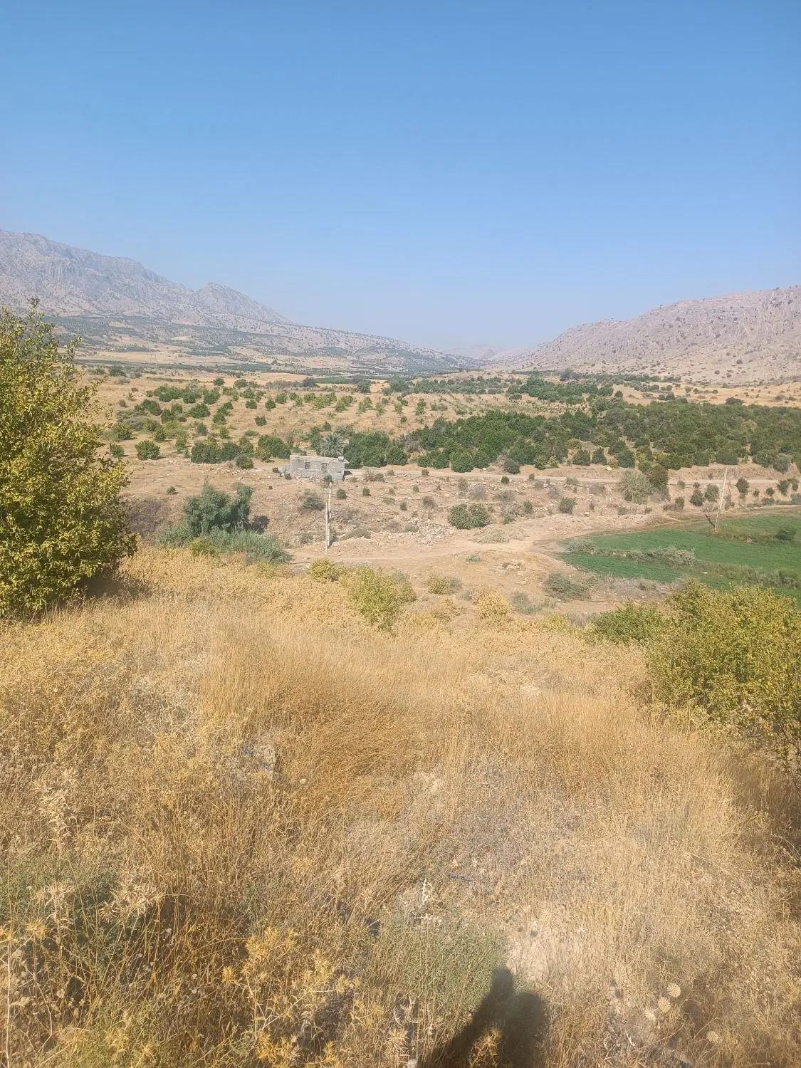 فروش زمین مسکونی دشت روم