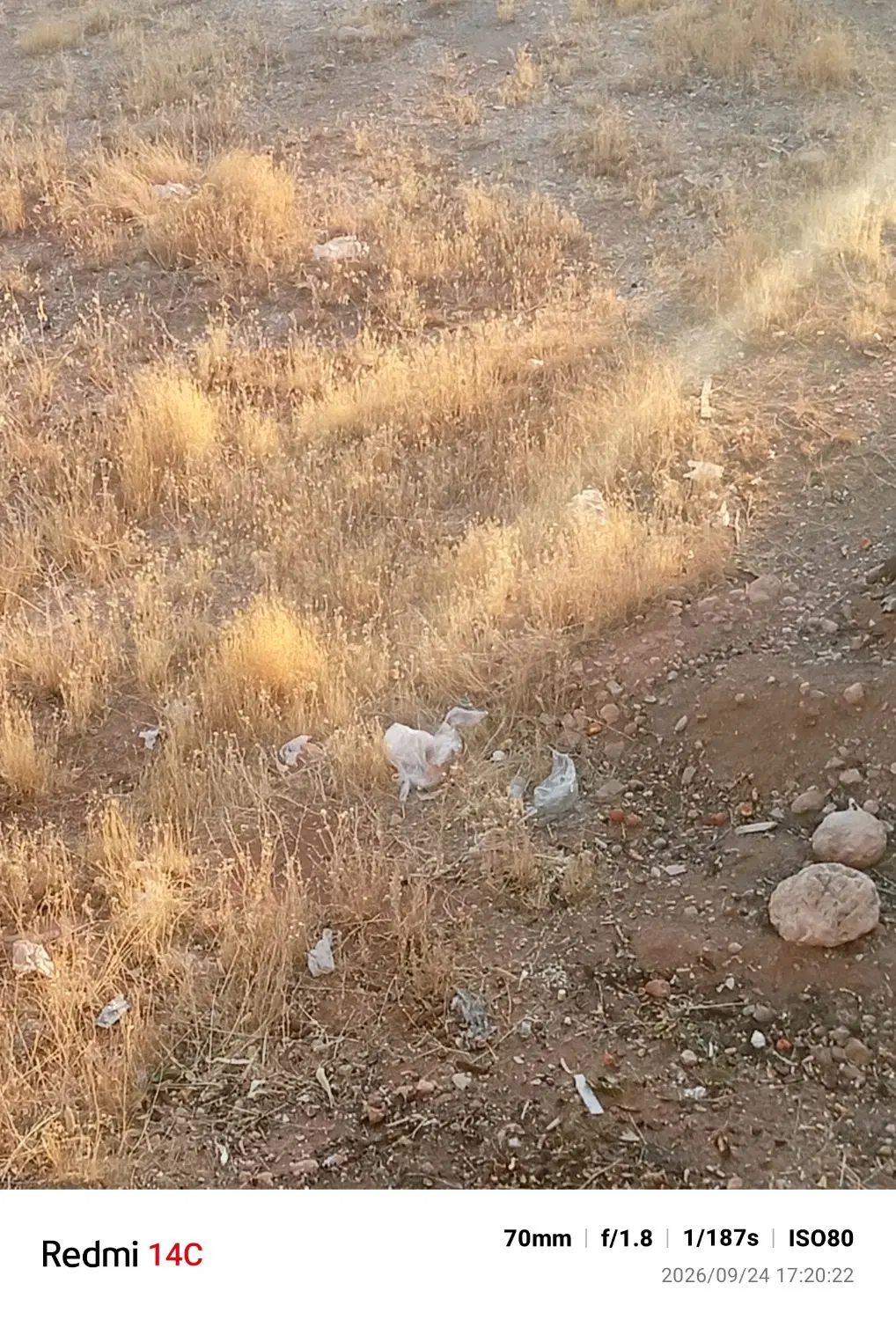 زمین مادوان
