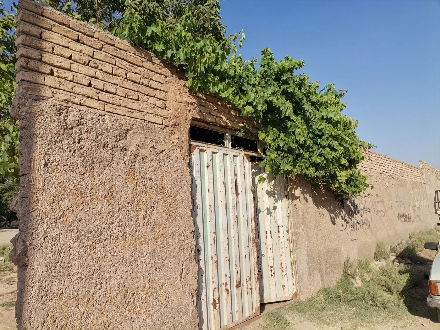 باغچه