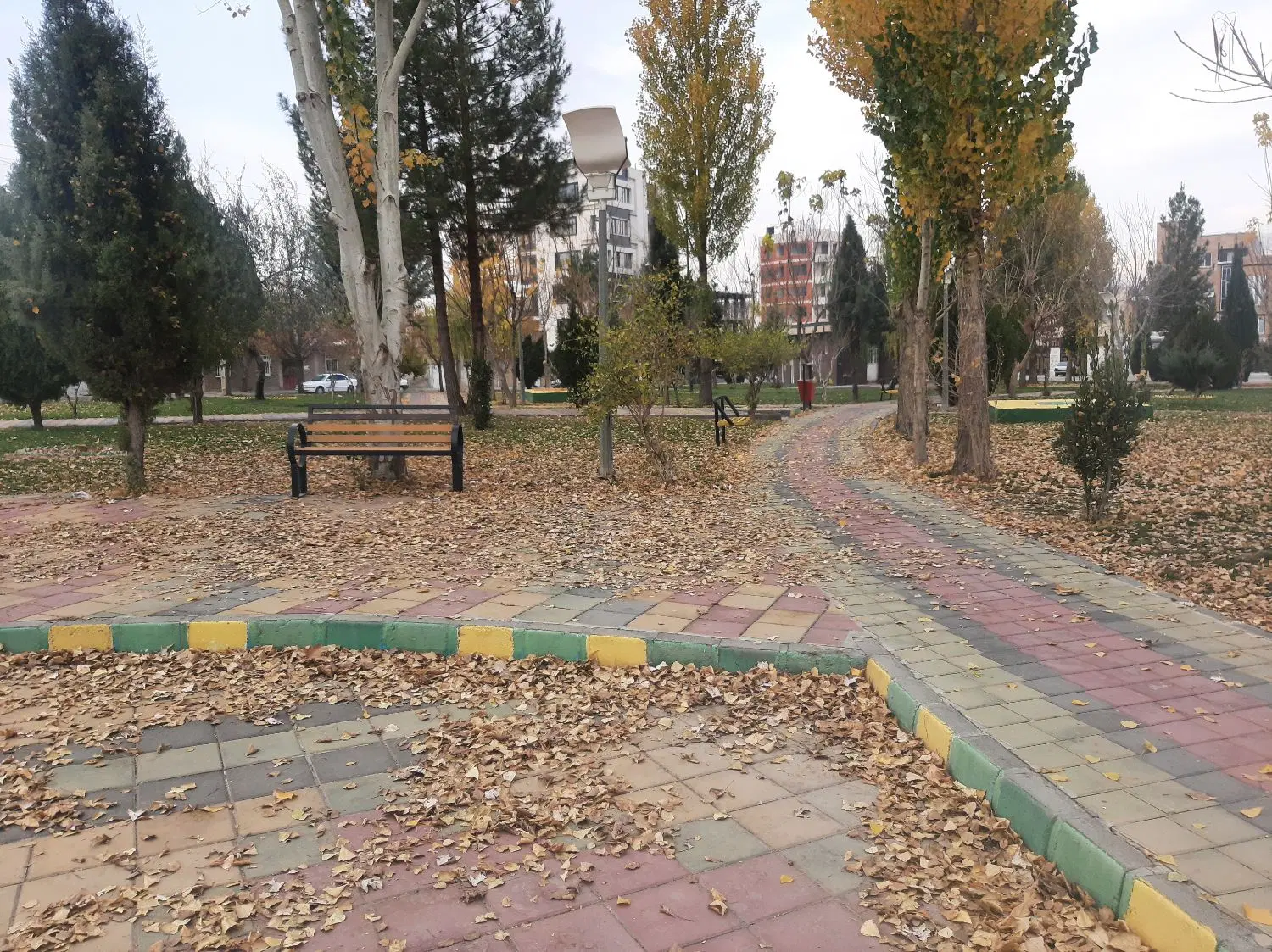باغ انگور کامیاران