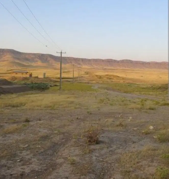 زمین طرح مهشید رهنورد