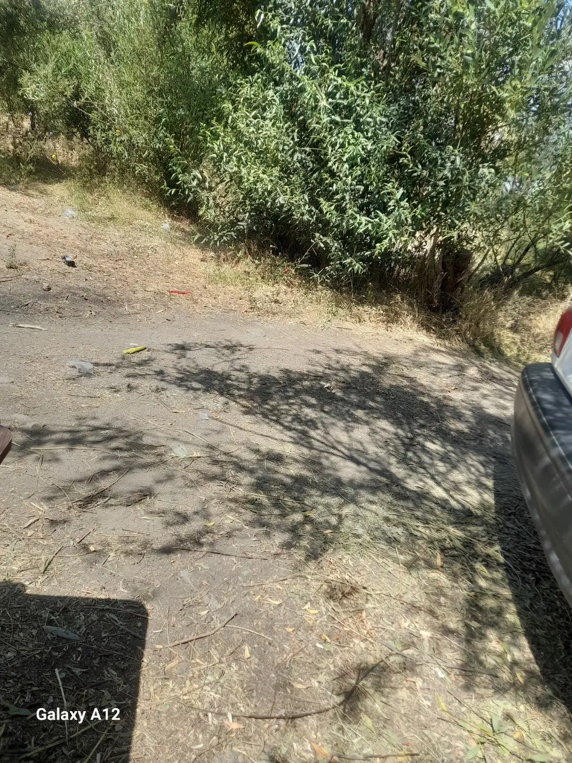 فروش فوری زمین کشاورزی۵۰۰متر. شورکندروستای کاکلر