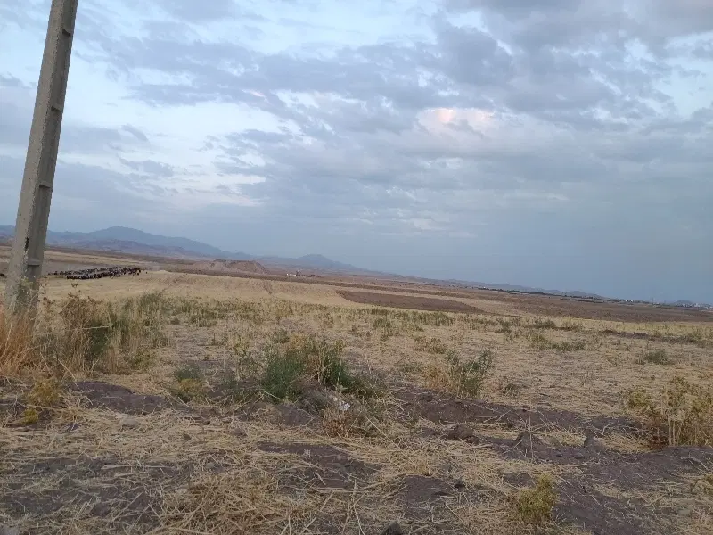 زمین کشاورزی روستای آشنستان