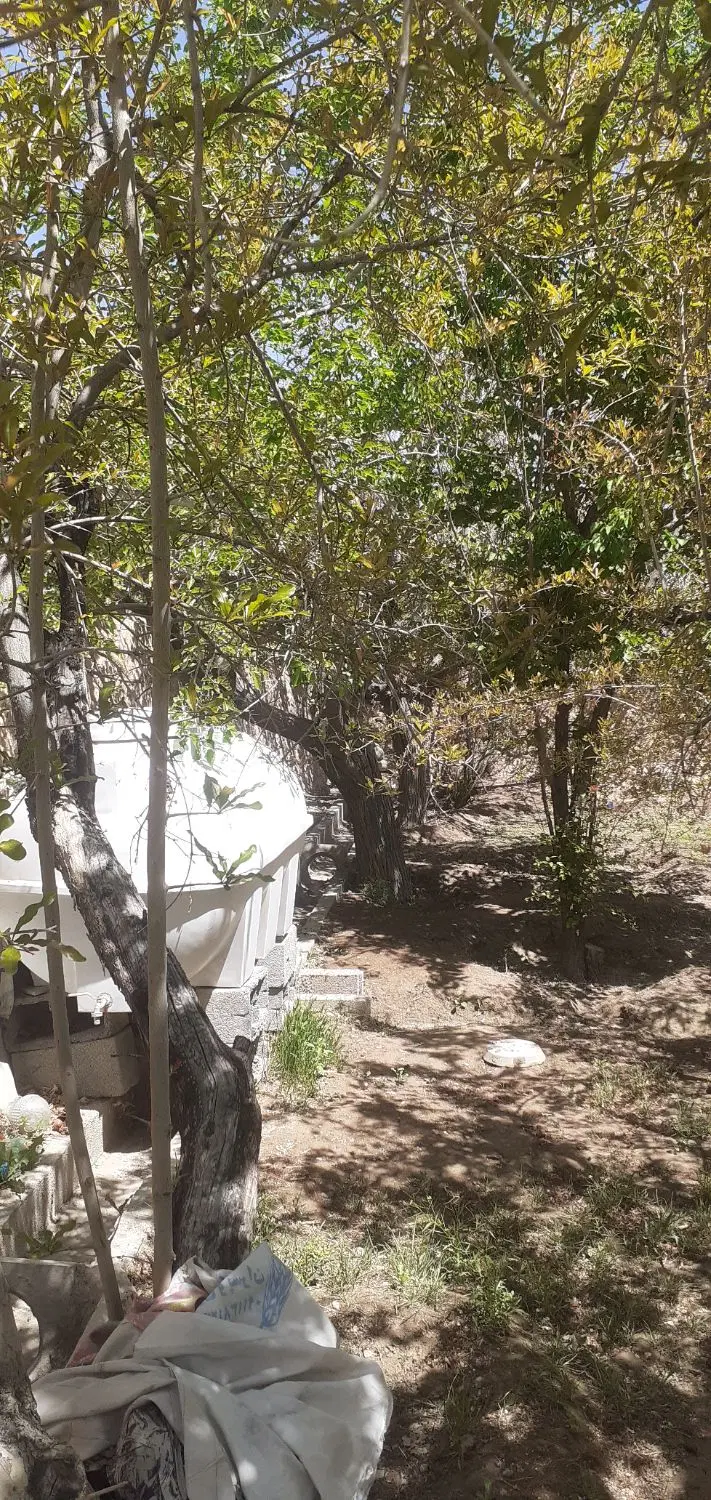 باغ ۳۶۵ متری خوش‌قواره مناسب خانه باغ